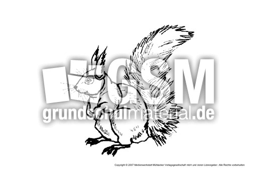 Eichhörnchen-2.pdf